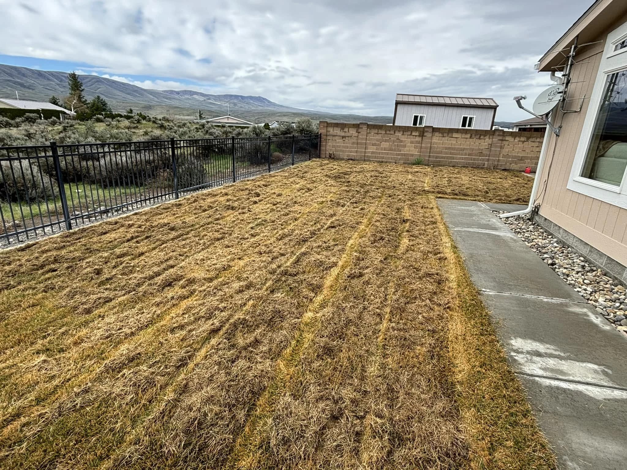 Aeration & Thatching