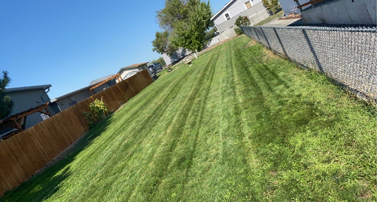 Fertilizing & Lawn Care