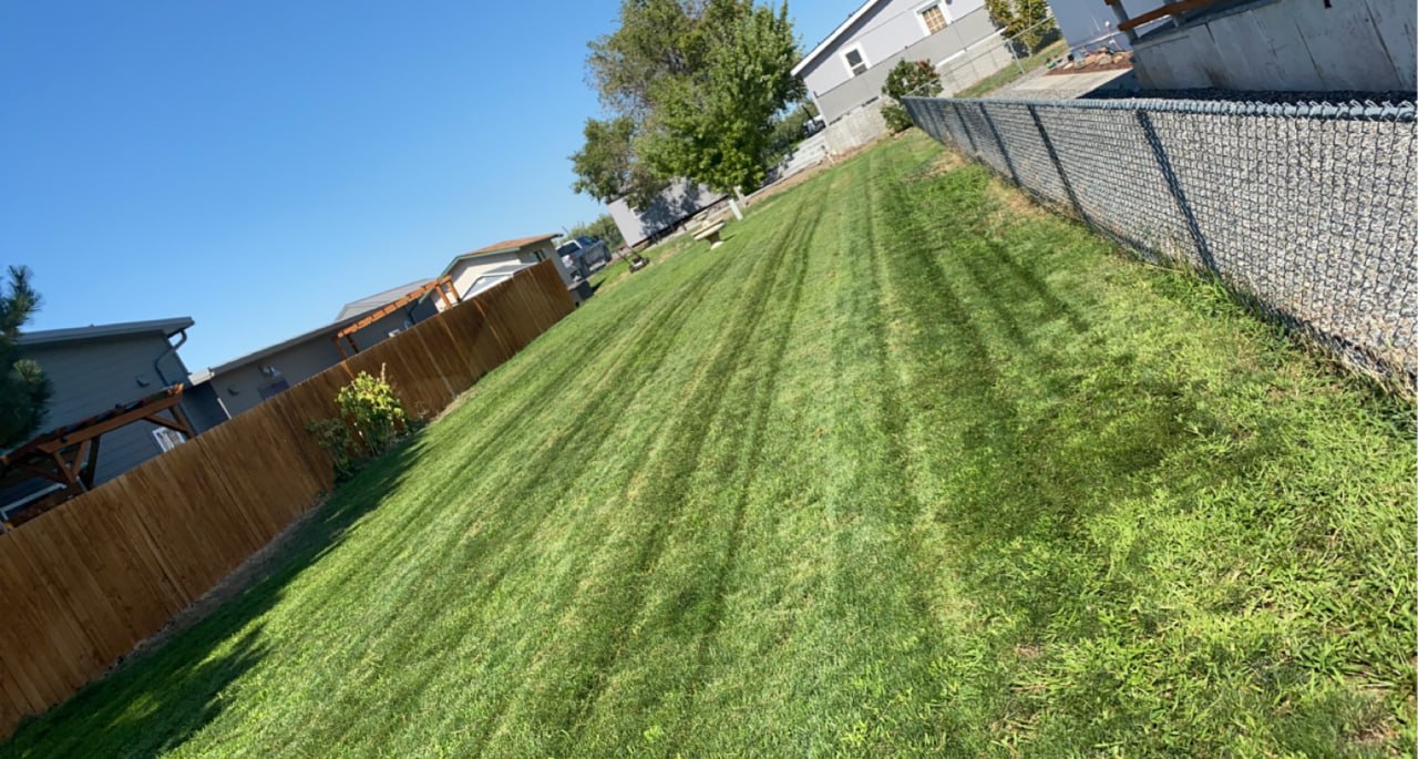 Well-maintained Desert Aire lawn with clean mowing stripes