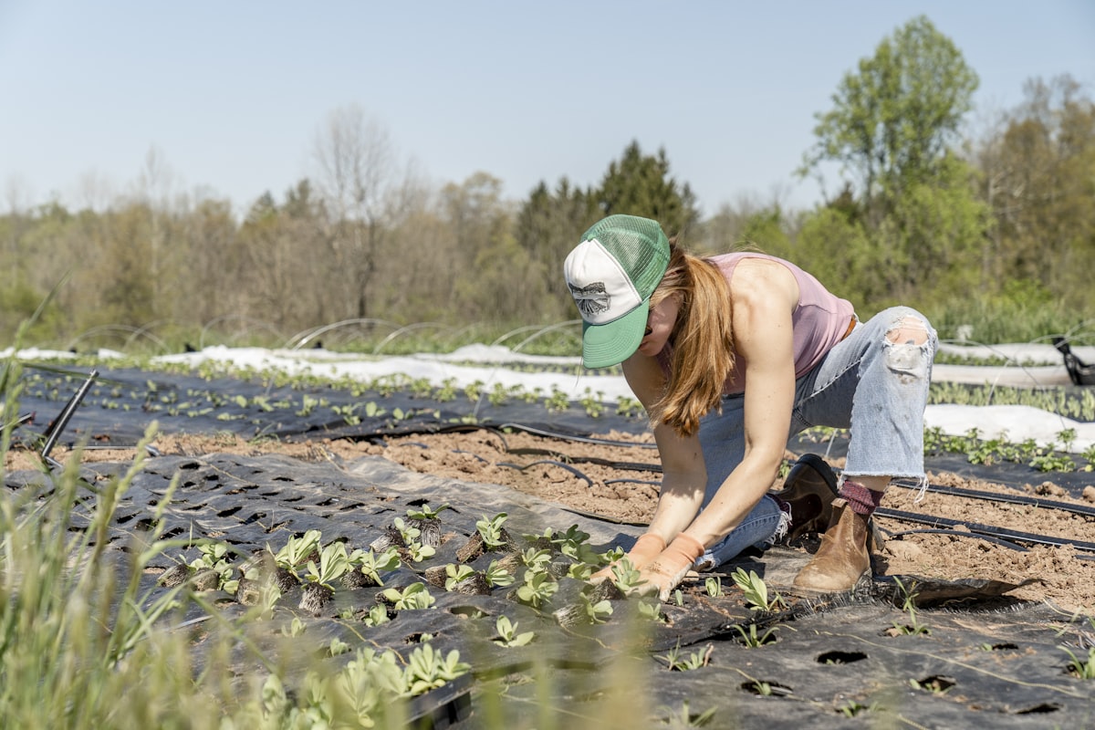 Martinez Landscaping & Construction - Professional Landscaping